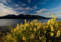 Sunset in Te Anau