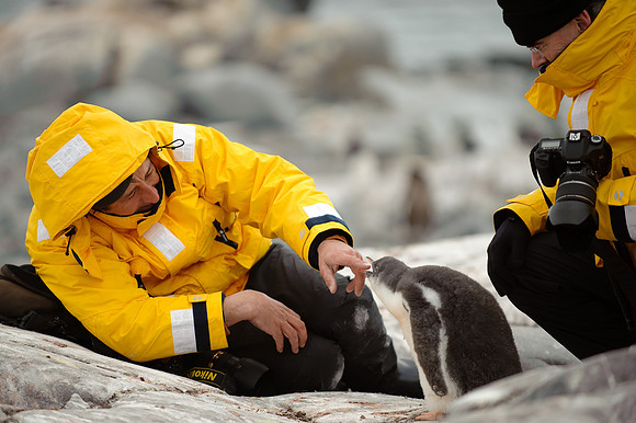 Rene and Gentoo penguin, Jougla point (Port Lockroy)