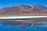Bolivia Highlights