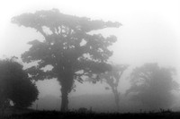 070101_CostaRica