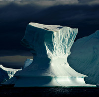 Best of Antarctica