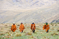 Best of South America